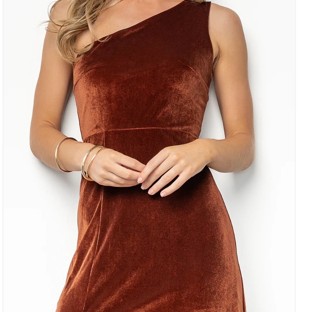 Baltic Born Tatiana One-Shoulder Maxi Dress in Bronze - Picture 3 of 5